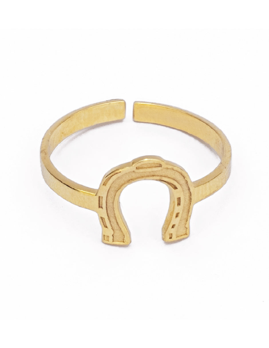 Anillo herradura Asher Plata .925