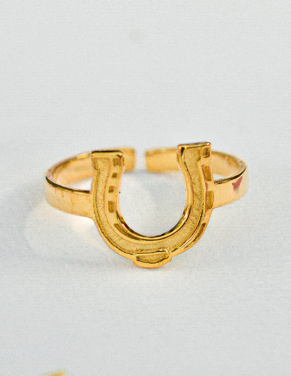 Anillo herradura Asher Plata .925