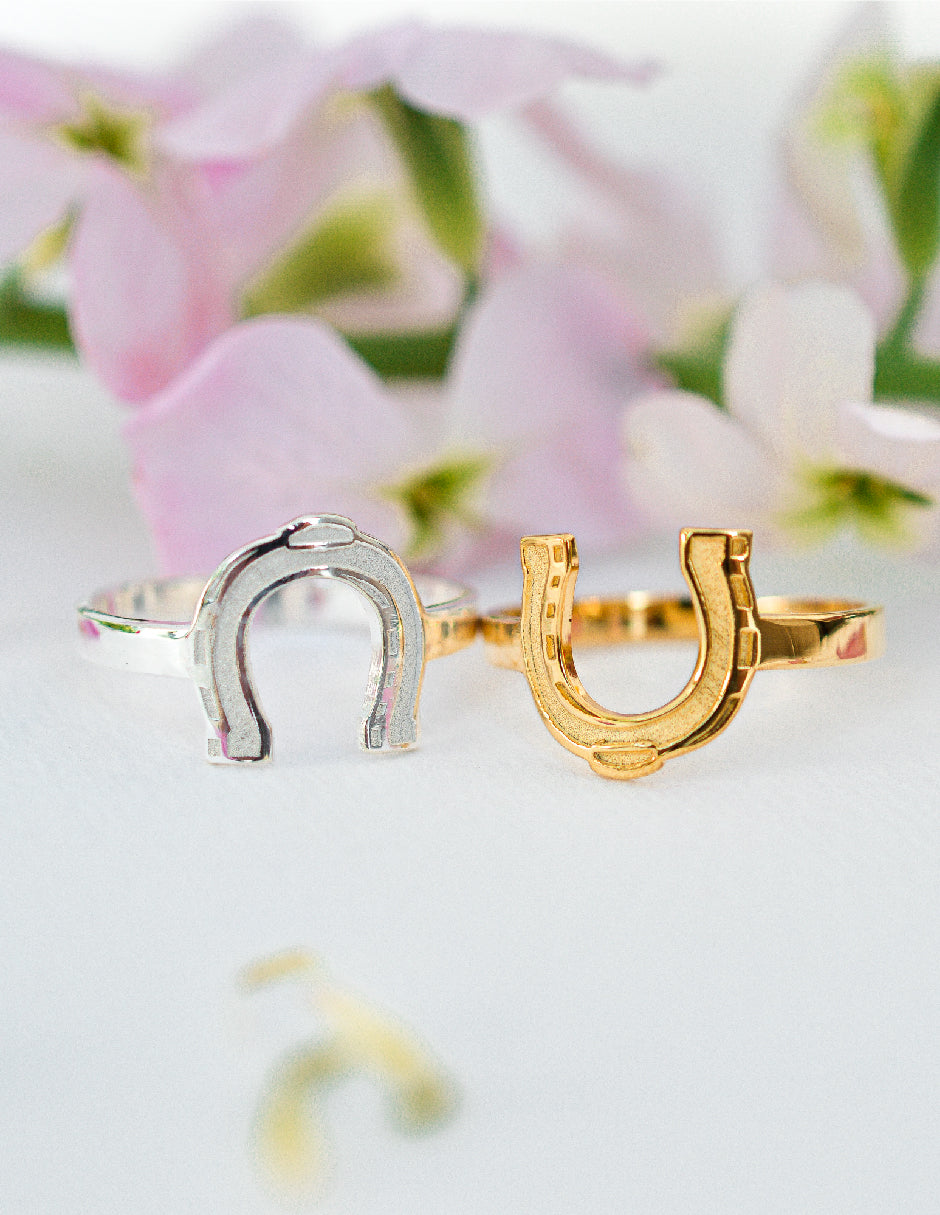 Anillo herradura Asher Plata .925