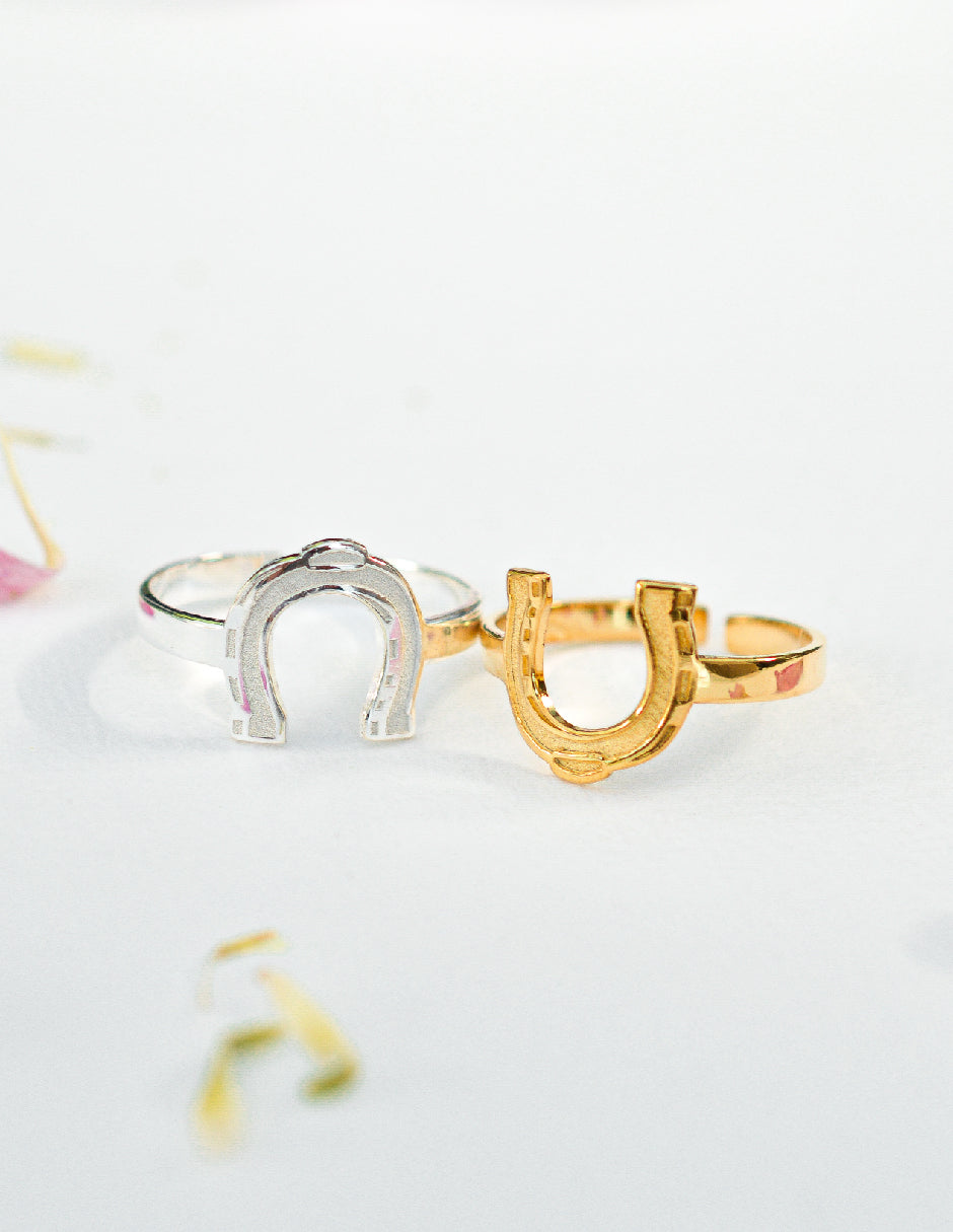 Anillo herradura Asher Plata .925