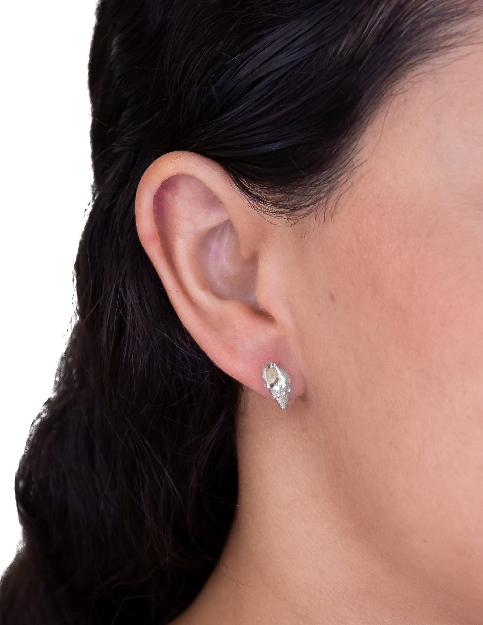 Aretes caracol Clarion Plata .925