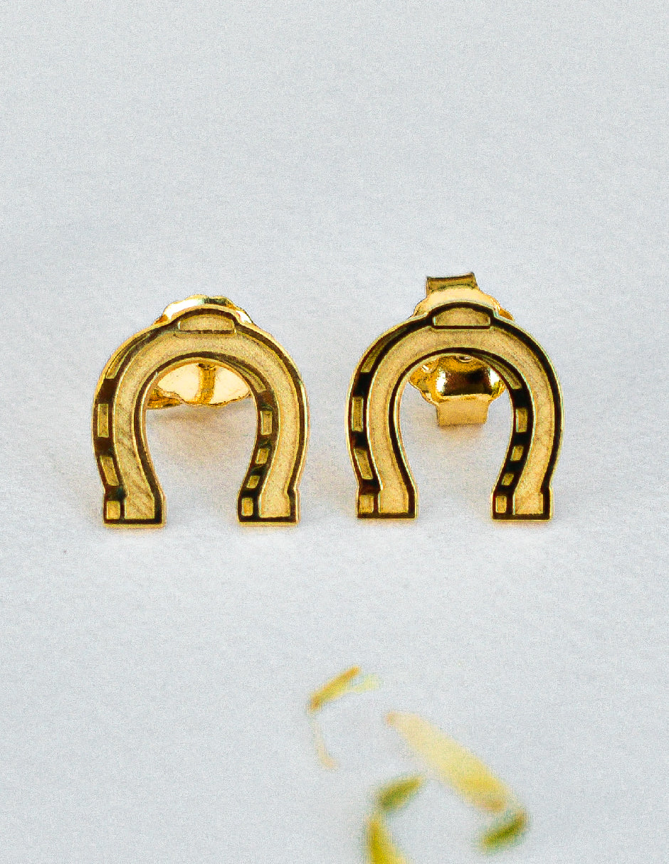 Aretes herradura Asher Plata .925