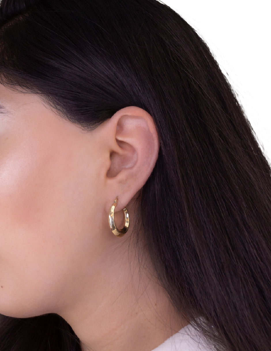 Arracadas Lara Plata .925