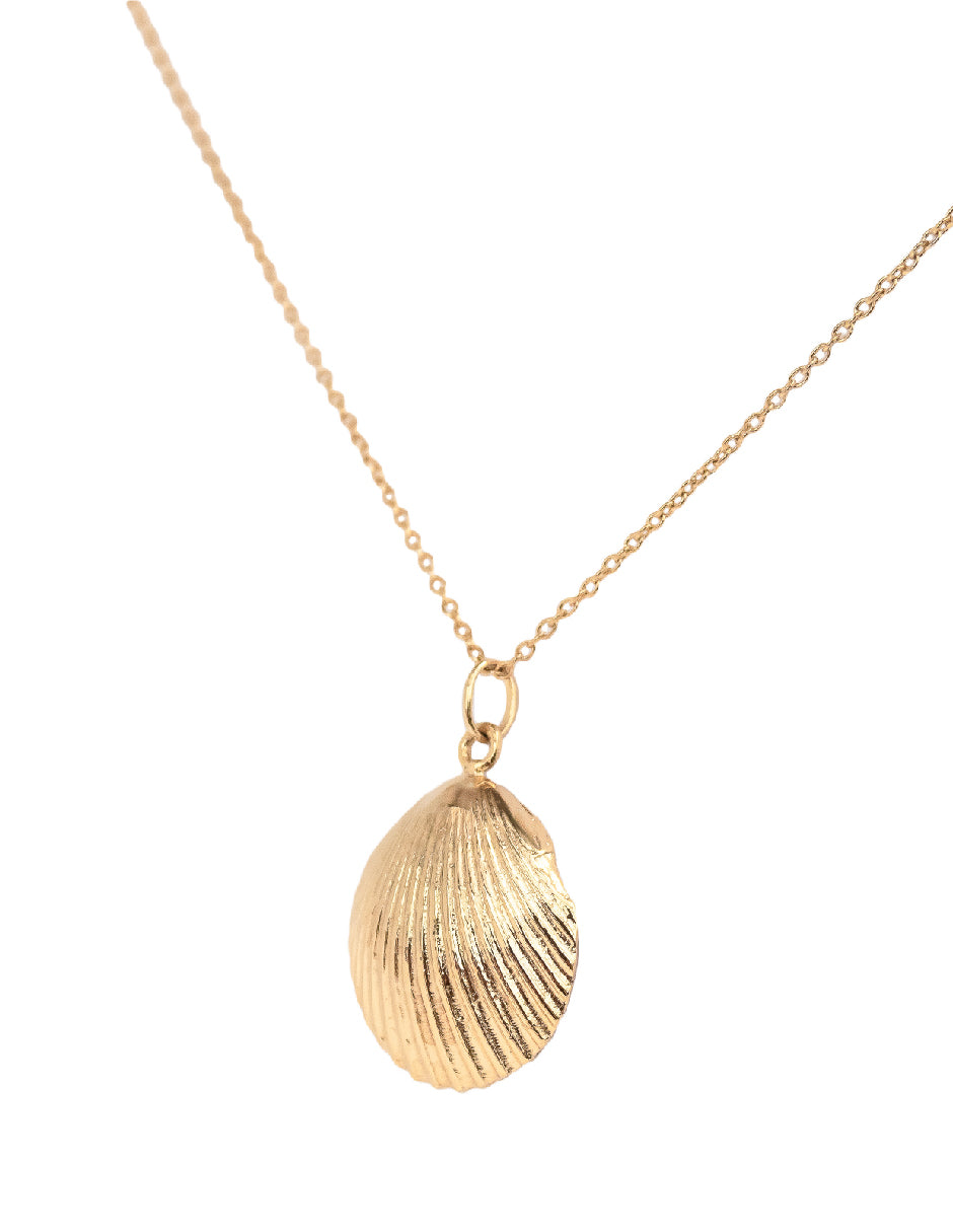 Collar Concha Marena Plata .925