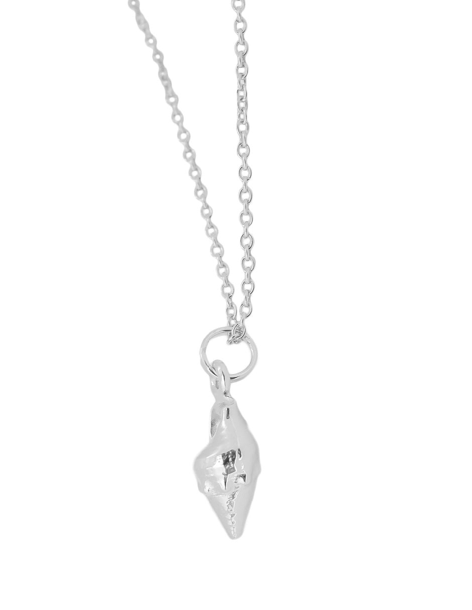 Collar caracol Clarion Plata .925