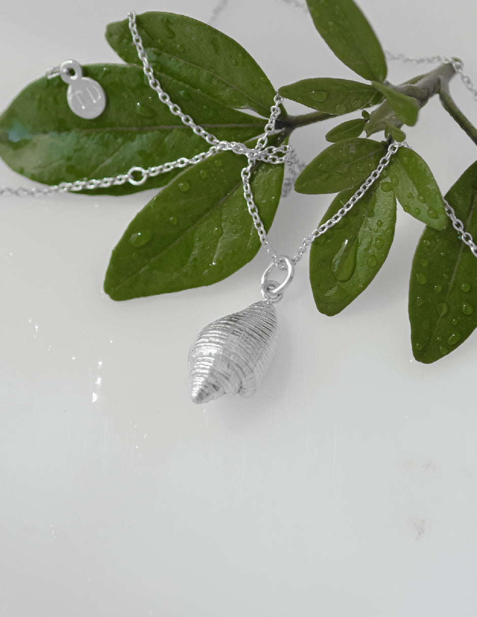 Collar caracol Clarion Plata .925