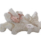 Pulsera concha Marella Plata .925